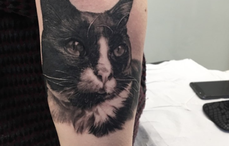 100 Trendy Cat Tattoos That You Must See  Tattoo Me Now