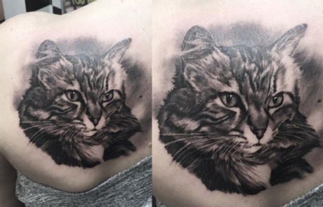 Cat Tattoos | The Ink Factory