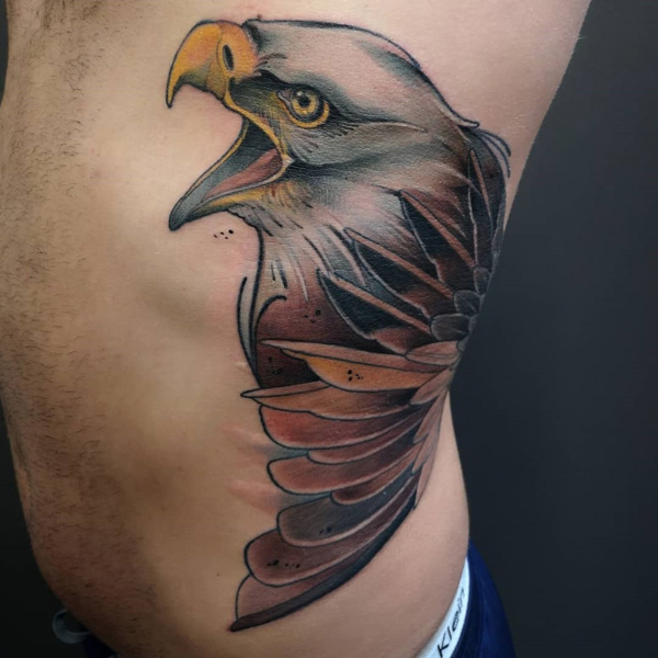 Jess Holliday  Klee got this red tailed hawk done today Thank you for  sitting so well tattoos neotrad neotradtattoo neotraditional  neotraditionaltattoo illustrative illustration art design custom  customtattoos springfield springfieldmo 