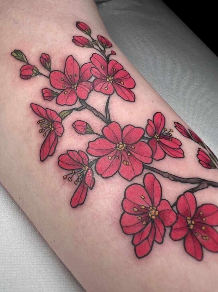 449050198_1130243254755584_4039445202493866745_n